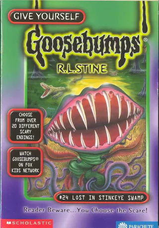 Cover of Lost in Stinkeye Swamp