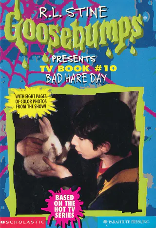 Cover of Bad Hare Day